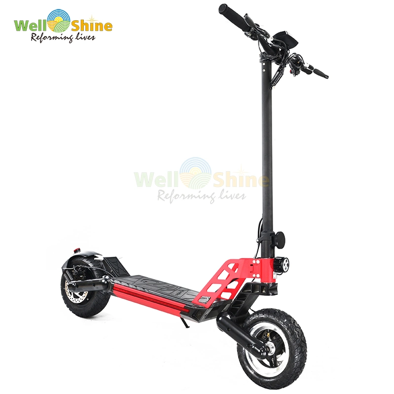 High Quality Folding Two Wheel Smart Balance Electric Scooter