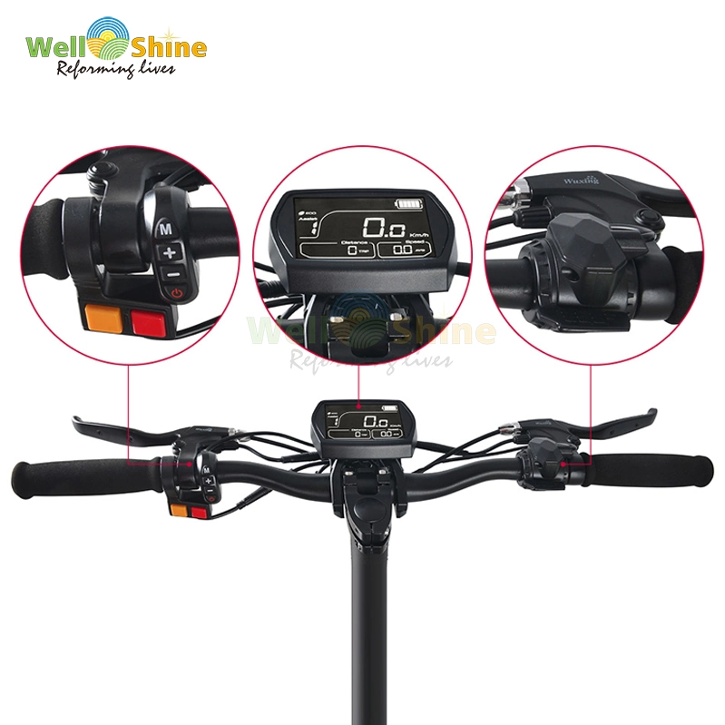 High Quality Folding Two Wheel Smart Balance Electric Scooter