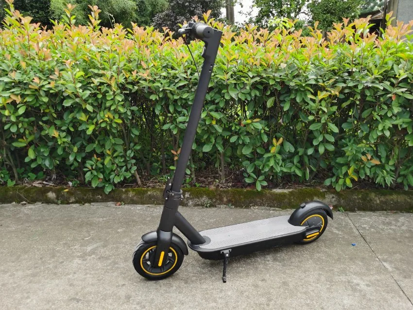 Two Wheel Smart Rear 500W Adult Self Balancing Electric Scooter