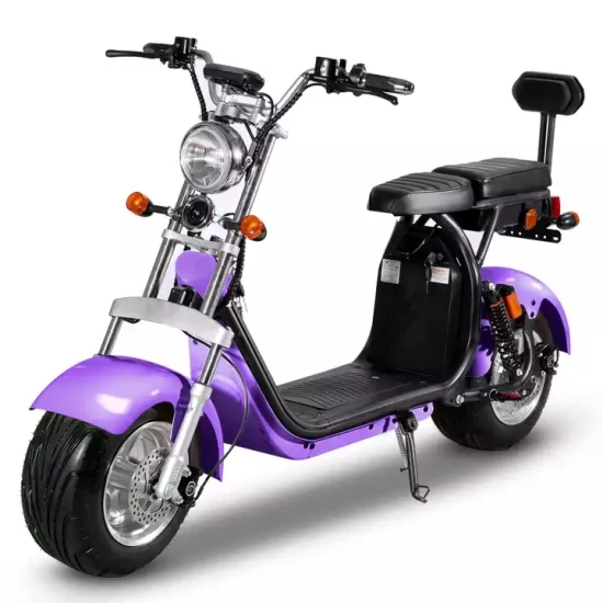 Citycoco Scooter électrique 2 roues avec gros pneu populaire 2000W 60V CE avec batterie au lithium amovible 1500W-2000W 30-50km/H 6-8h