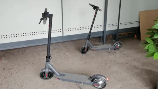 Scooter électrique d'équilibrage d'individu adulte intelligent de l'arrière 500W de deux roues