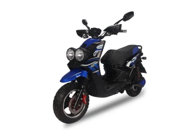 1000W Vélo de moto électrique adulte puissant /Scooter électrique/Scooter de moto électrique (BWS)