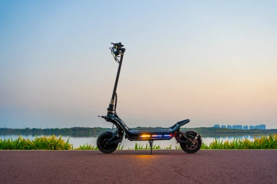 Meilleur prix Scooter électrique populaire Nami Burn E2 Max Dual Motor