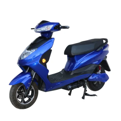 Fabricant 800W batterie au plomb/batterie au lithium scooter électrique moto de l'usine chinoise