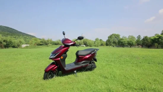 Flymate Chine Fabricant Haute Vitesse Pas Cher Adulte CKD Moto Électrique